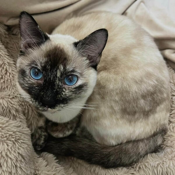 Jeune minette